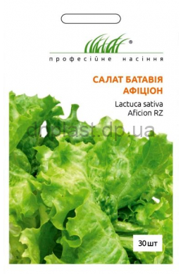 Афицион салат батавия (ПН)
