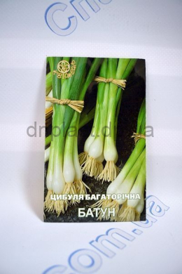 Батун лук многолетний (Квитень) Батун лук многолетний (Квитень)