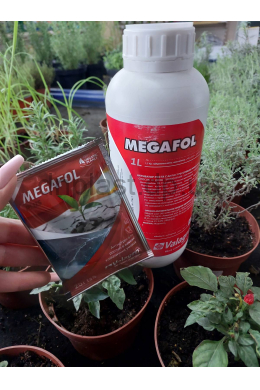 Мегафол+ 25 мл Мегафол+ 25 мл