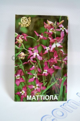 Матиола (Квитень)