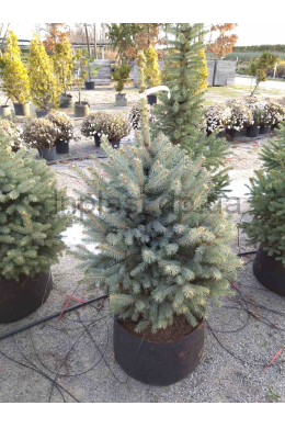 Сумка - контейнер 40л (d40 h30)