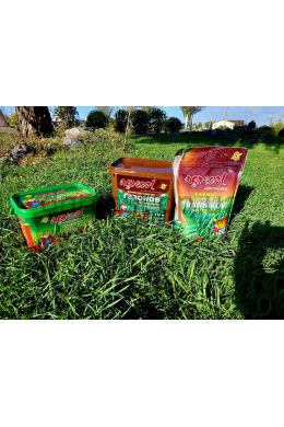 Добриво ОСІННЄ для ГАЗОНІВ 1 кг Аgrecol (гранульоване)