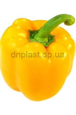 Ратунда жёлтая перец (НК) Ратунда жёлтая перец (НК)