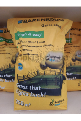 Трава газона Стресо/сухостійка 5 кг Barenbrug R Blue lown