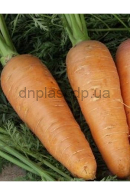 Болтекс морковь 2 г (НК)