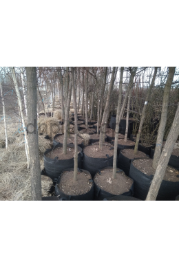 Сумка – контейнер 200л (d70 h52) Сумка – контейнер 200л (d70 h52)