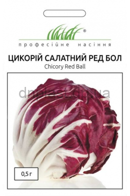 Ред Бол цикорий салатный (ПН)
