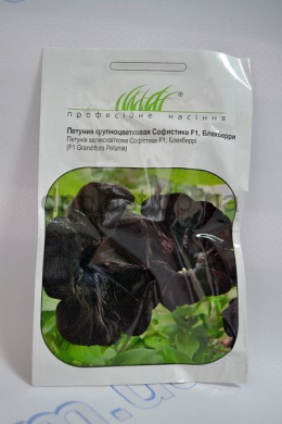 Грандифлора Софистика F1 Блэкберри петуния (ПН)