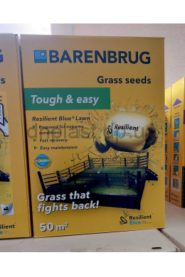 Трава газона Стресо/сухостійка 1 кг Barenbrug R Blue lown